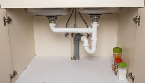 After Real Pest Kill treatment